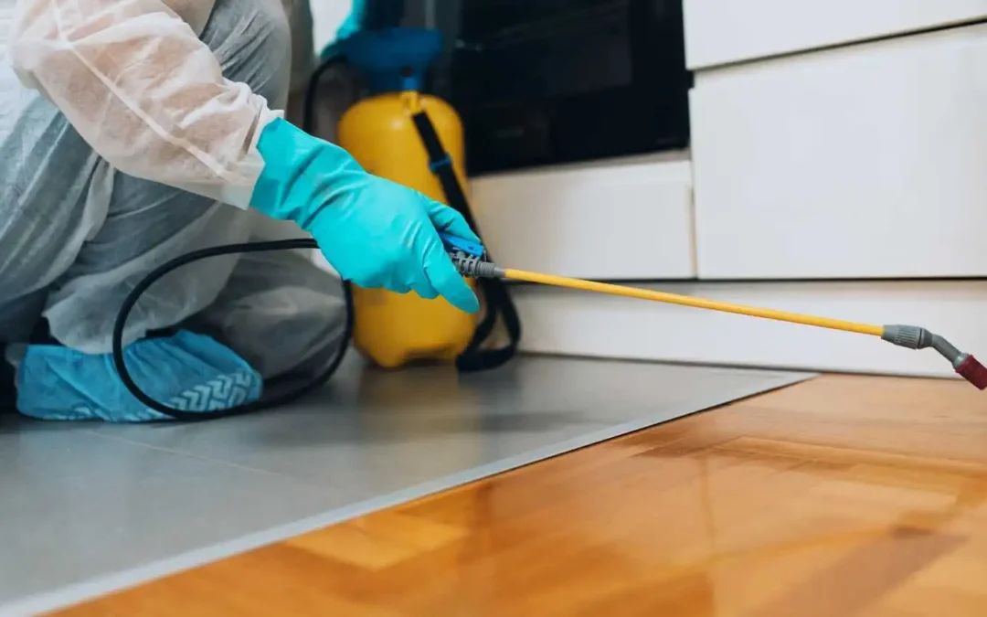 Pest Control Whittlesea: Protecting Your Home from Unwanted Guests