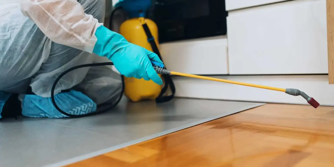 Pest Control Whittlesea: Protecting Your Home from Unwanted Guests