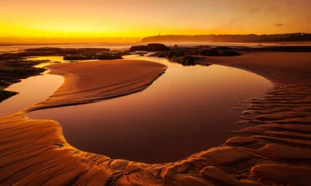Mud and Magic in Byron Bay