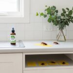 Effective Ways to Get Rid of Cockroaches in Australia